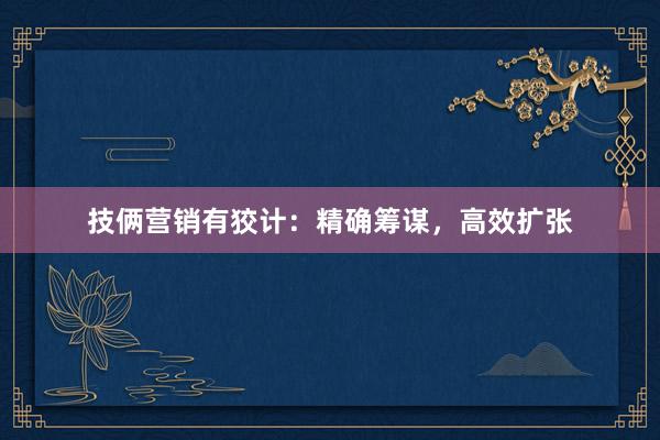 技俩营销有狡计:精确筹谋,高效扩张